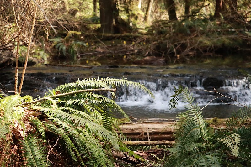 Waterfall Wonder: Stocking Creek Falls - Stocking Creek Falls