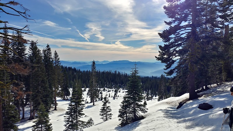 Discovering the Charm of Horse Camp, Mt Shasta - Horse Camp