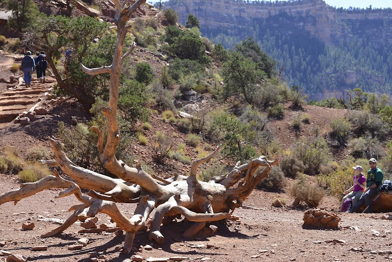 Ridge Discoveries at Cedar Ridge surrounding landscape