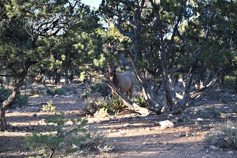 Journey Through Time: Trail of Time in Grand Canyon - Trail of Time