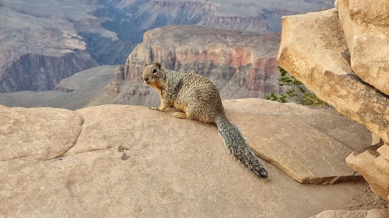 Hiking to Ooh Aah Point at the Grand Canyon outdoor detail
