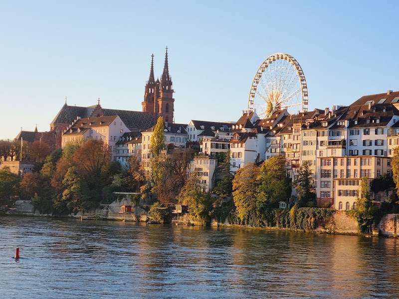Discover the Charm of Basel - Switzerland