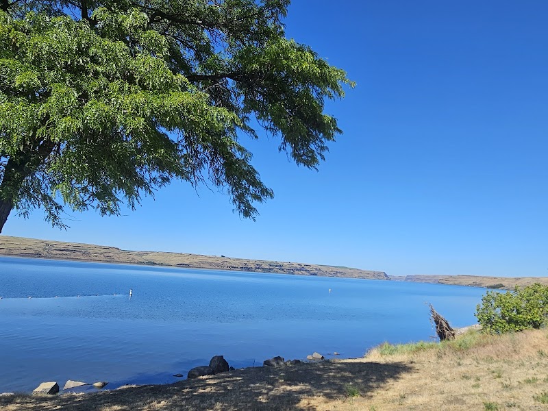 Nature's Haven: McNary National Wildlife Refuge outdoor detail