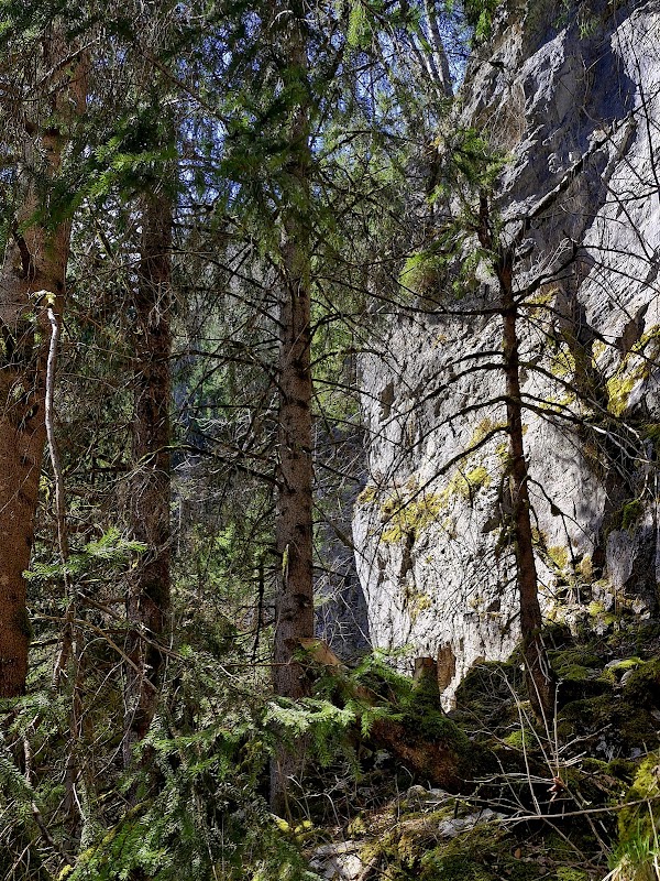 Nature's Curtain: Berglistüber Waterfall - Berglistüber Waterfall