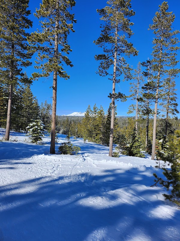Winter Wonderland in Deschutes National Forest - Deschutes National Forest