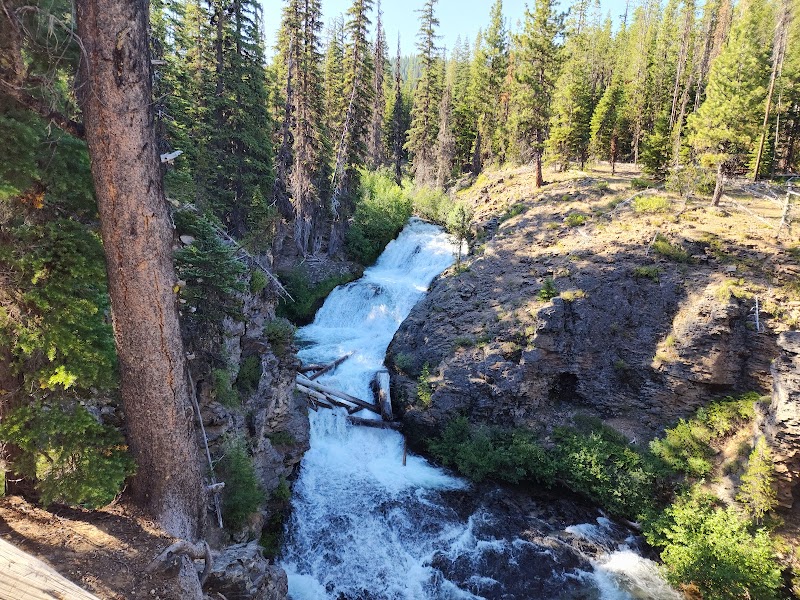 Winter Wonderland in Deschutes National Forest - Deschutes National Forest