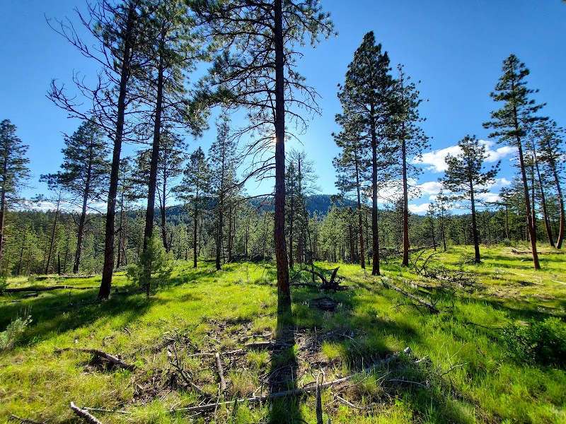 Discover Nature's Symphony: Malheur National Forest - Malheur National Forest