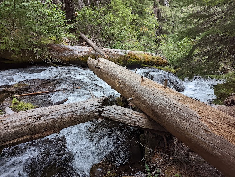 Waterfalls & Wilderness: National Creek Falls surrounding landscape