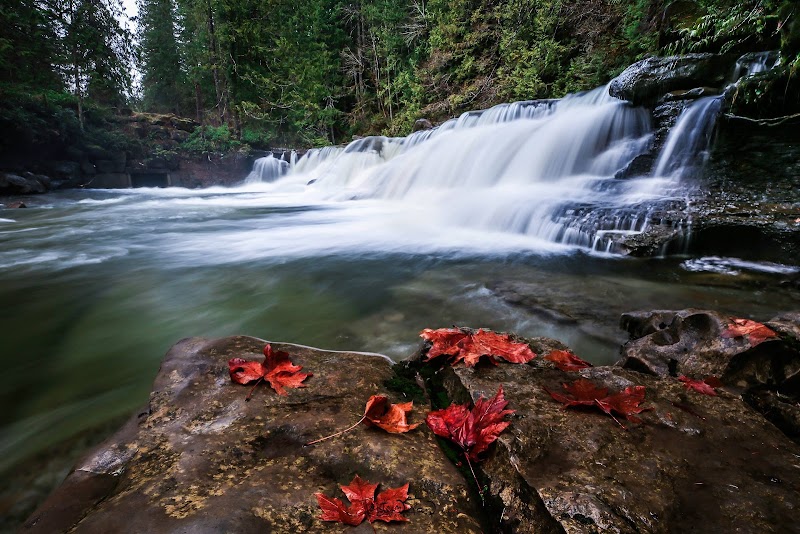 Waterfall Wonder: Brown's River Falls - Brown's River Falls