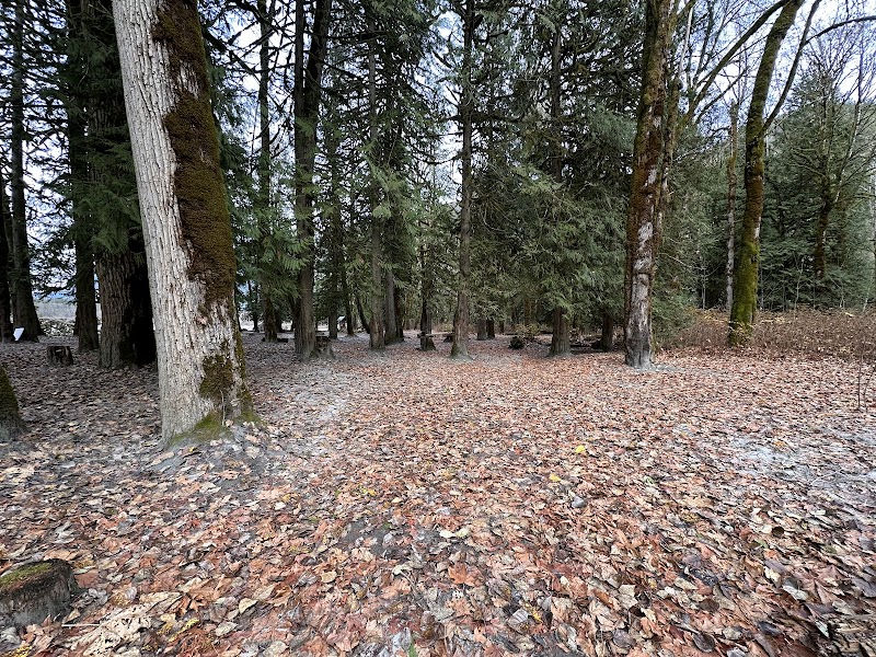 Nature's Symphony at High Falls (5.5km) Recreation Site outdoor detail