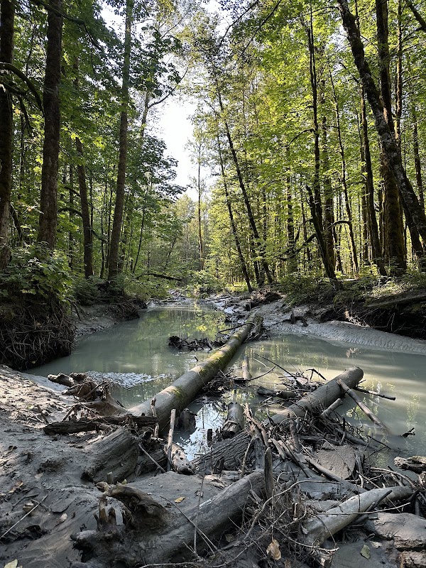 Nature's Symphony at High Falls (5.5km) Recreation Site trail preview