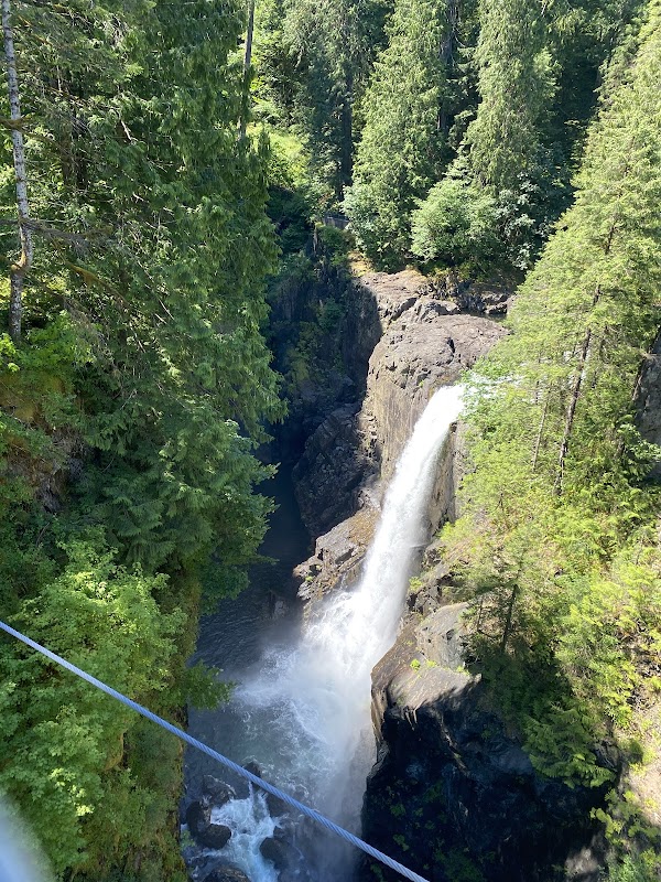 Suspended Escape: Elk Falls Suspension Bridge - Elk Falls Suspension Bridge