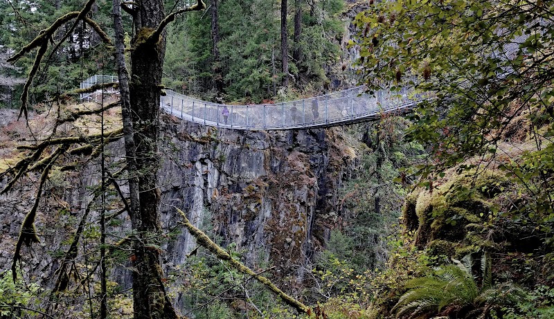 Suspended Escape: Elk Falls Suspension Bridge - Elk Falls Suspension Bridge