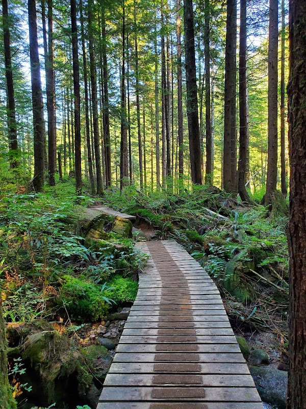 Widgeon Falls: A Cascading Gem in British Columbia - Widgeon Falls