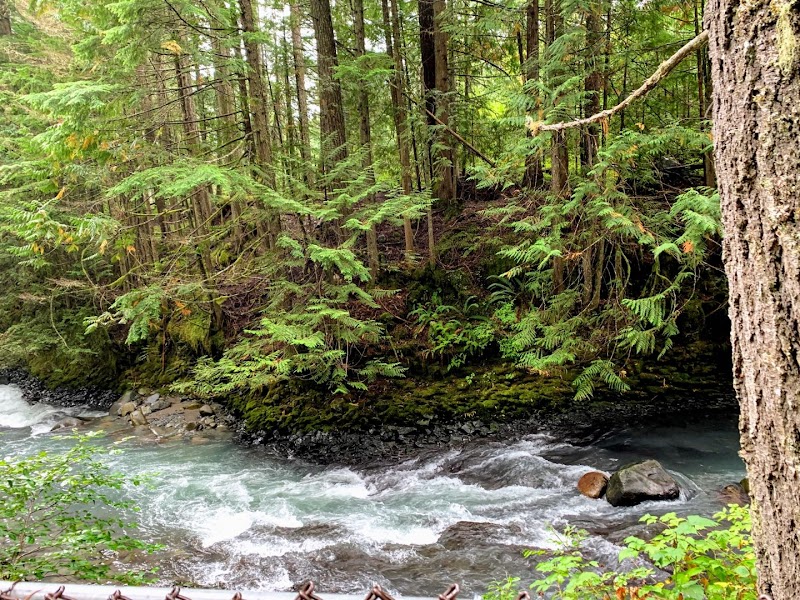Discovering Brandywine Falls Provincial Park surrounding landscape