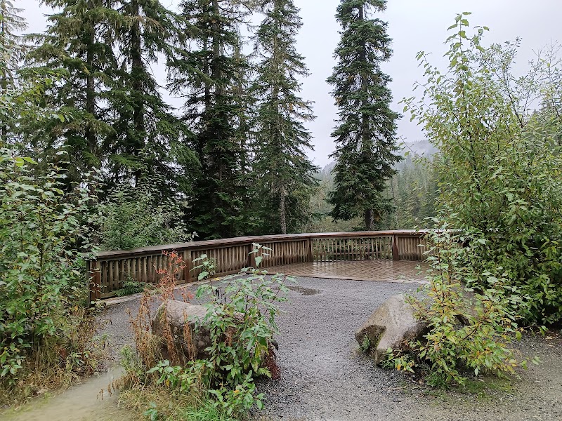Cascading Beauty at Alexander Falls surrounding landscape