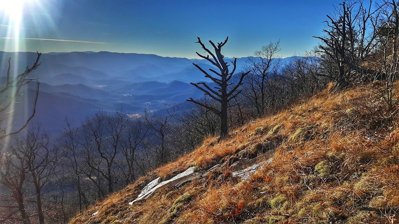 Hiking NC Bartram Trail: Jones Gap Trailhead - NC Bartram Trail: Jones Gap Trailhead