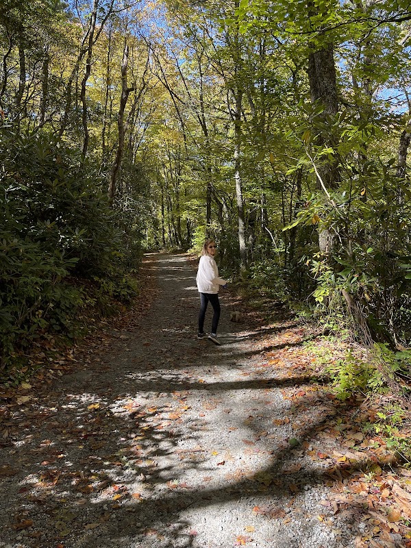 Exploration Awaits at Ravenel Park - Ravenel Park - Highlands Cashiers Land Trust