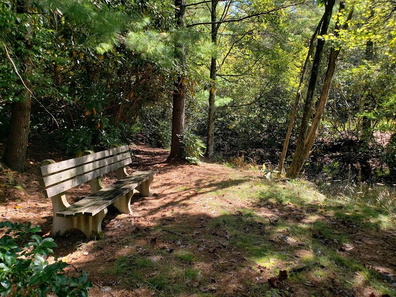 Discover Nature's Serenity at Dixon Woods Park - Dixon Woods Park- Highlands Cashiers Land Trust