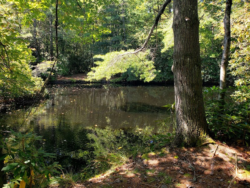 Discover Nature's Serenity at Dixon Woods Park - Dixon Woods Park- Highlands Cashiers Land Trust