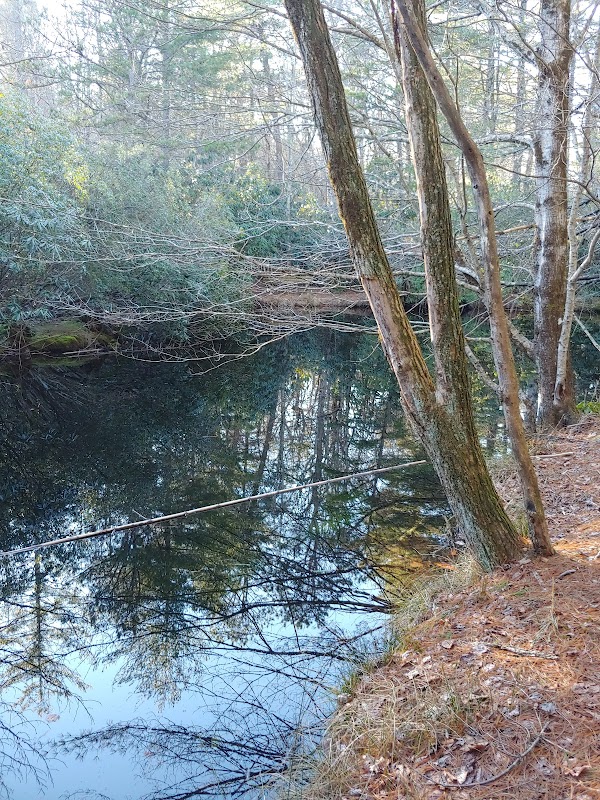 Discover Nature's Serenity at Dixon Woods Park - Dixon Woods Park- Highlands Cashiers Land Trust