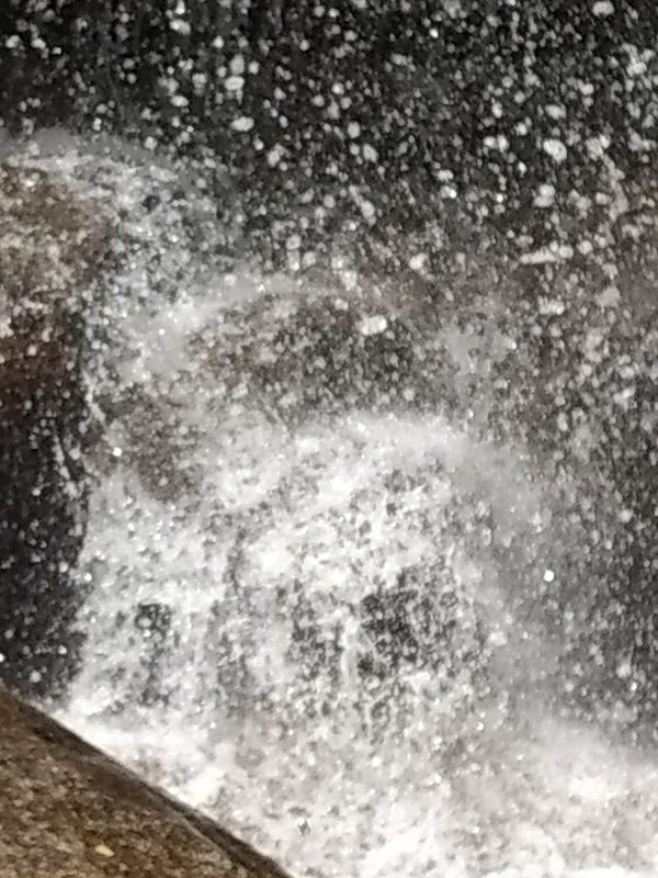 Waterfalls in the Heart of Nature: Catheys Creek Falls outdoor detail