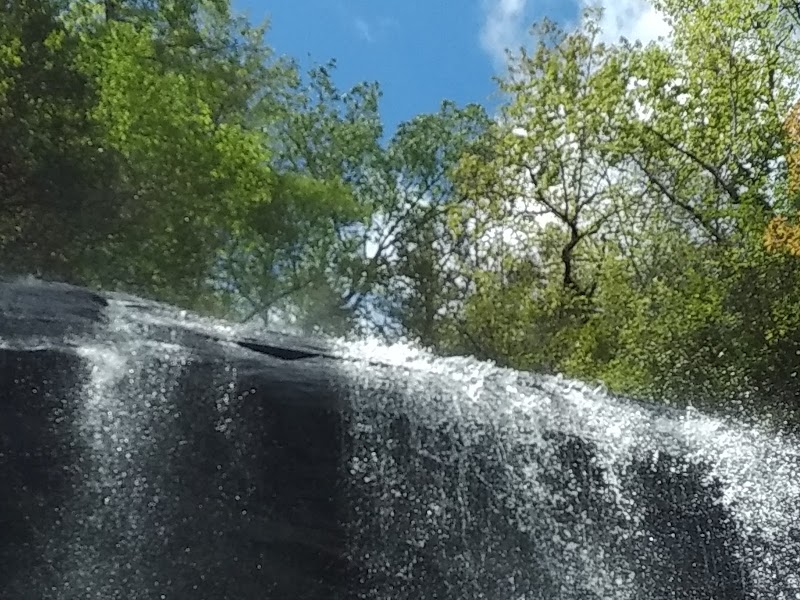 Waterfalls in the Heart of Nature: Catheys Creek Falls surrounding landscape