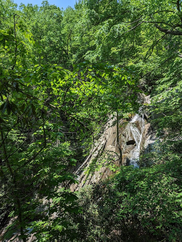 Waterfalls & Wilderness: Glen Burney Falls Trail outdoor detail