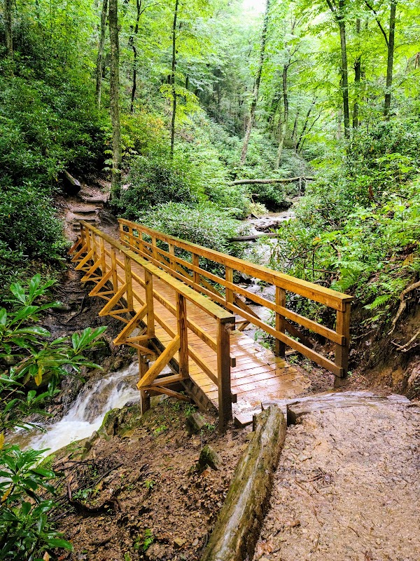 Waterfalls & Wilderness: Glen Burney Falls Trail surrounding landscape