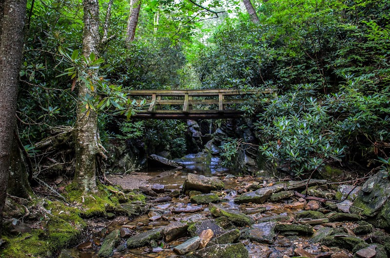 Waterfall Wonder: Discover Duggers Creek Falls surrounding landscape