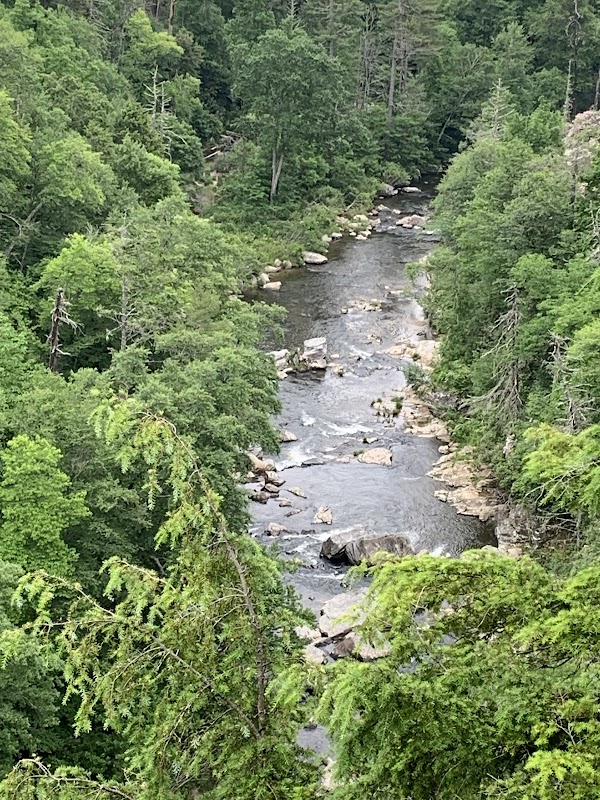 Waterfall Wonder: Discover Duggers Creek Falls outdoor detail