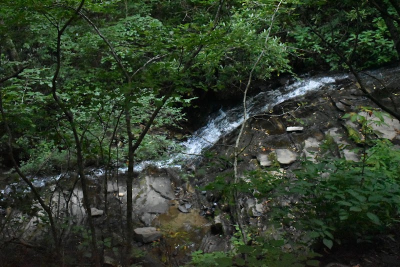 Grassy Creek Falls: Nature's Cascading Beauty surrounding landscape