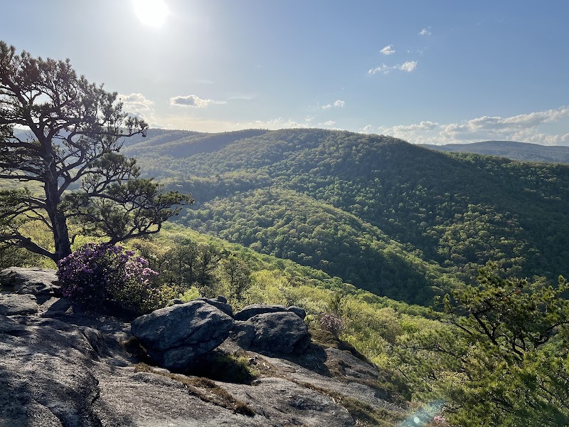 Majestic Escapade at Little Lost Cove Cliffs - Little Lost Cove Cliffs Trail