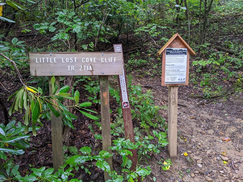 Majestic Escapade at Little Lost Cove Cliffs - Little Lost Cove Cliffs Trail