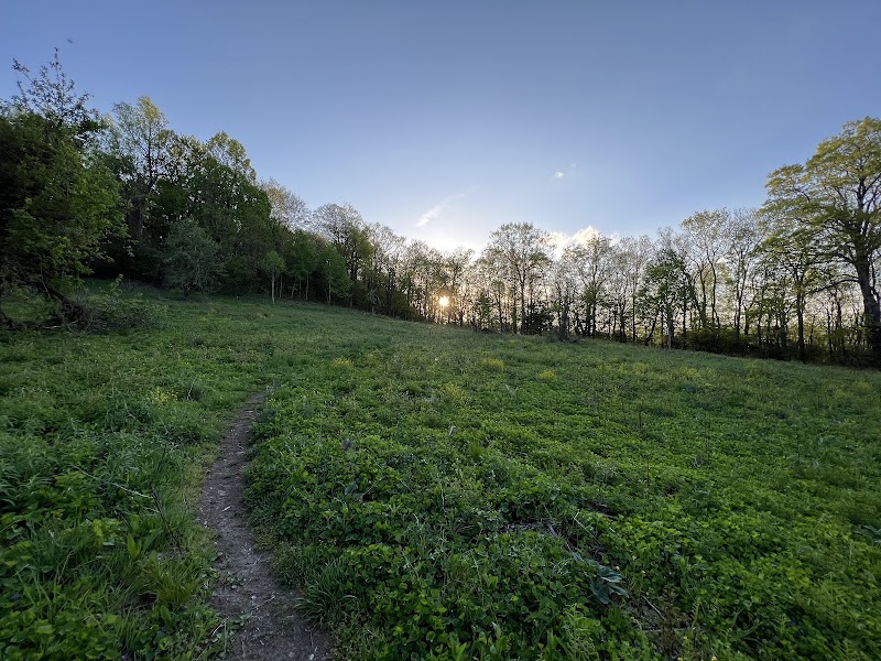 Majestic Escapade at Little Lost Cove Cliffs - Little Lost Cove Cliffs Trail