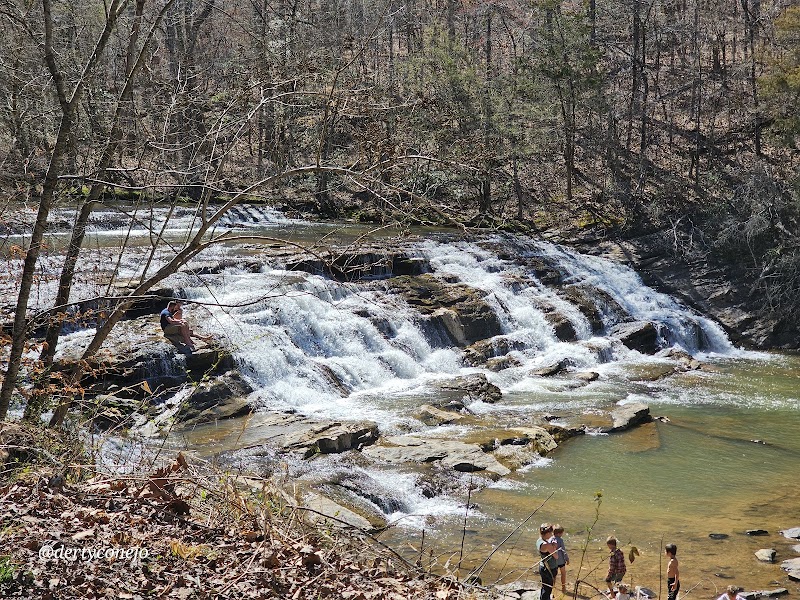 Tranquility and Nature at Shore-Styers Mill Park - Shore-Styers Mill Park