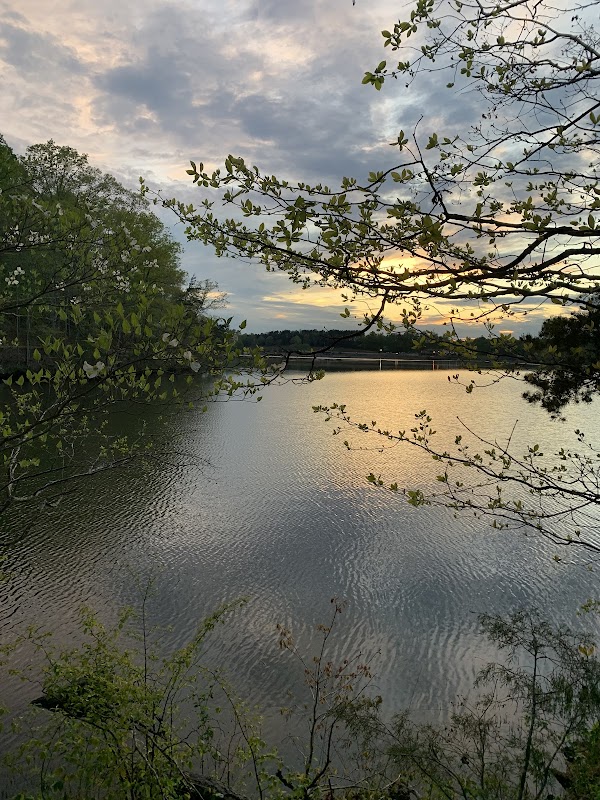 Discover the Serenity of Salem Lake Trail outdoor detail