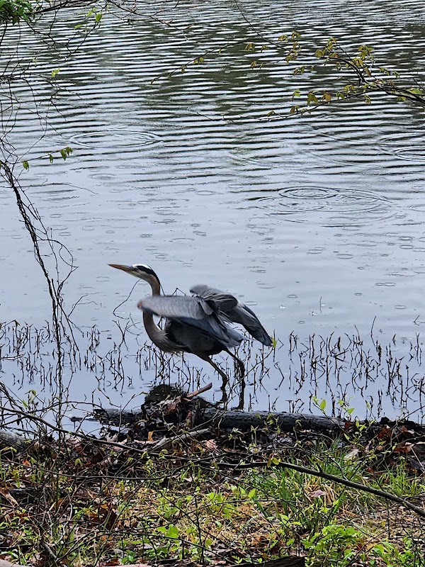 Discover the Serenity of Salem Lake Trail - Salem Lake Trail