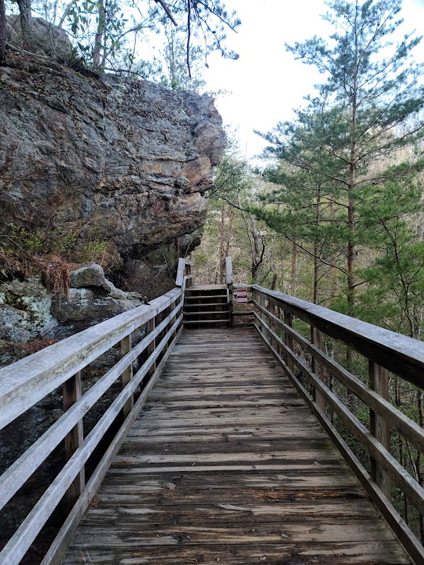 Waterfall Wonders: Lower Cascade Falls - Lower Cascade Falls