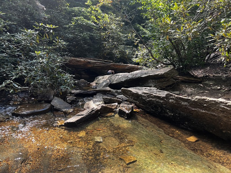 Waterfall Wonders: Lower Cascade Falls surrounding landscape