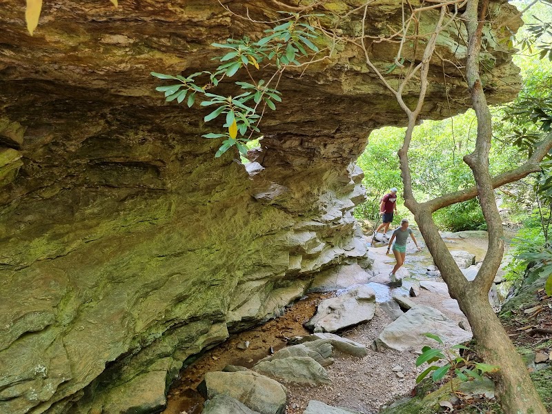 Discover the Serenity of Window Falls - Window Falls