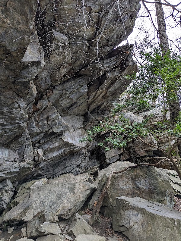 Discover the Serenity of Window Falls surrounding landscape