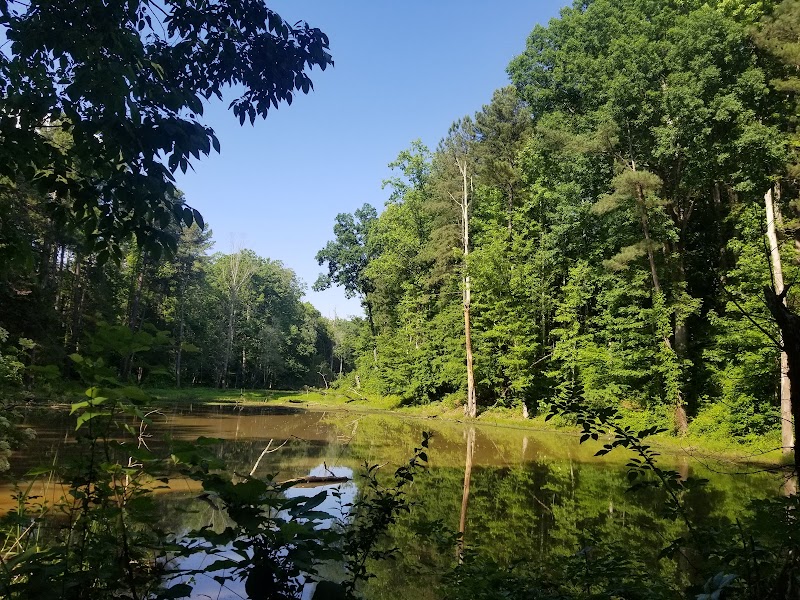 Tranquil Trails in Ribbonwalk Nature Preserve - Ribbonwalk Nature Preserve
