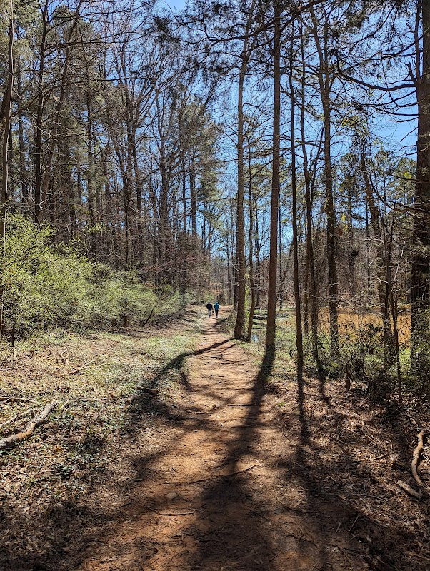 Tranquil Trails in Ribbonwalk Nature Preserve - Ribbonwalk Nature Preserve