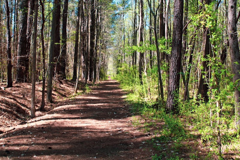 Tranquil Trails in Ribbonwalk Nature Preserve - Ribbonwalk Nature Preserve