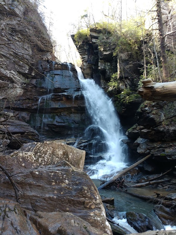 The Enchanting Cascade of Bradley Falls - Bradley Falls