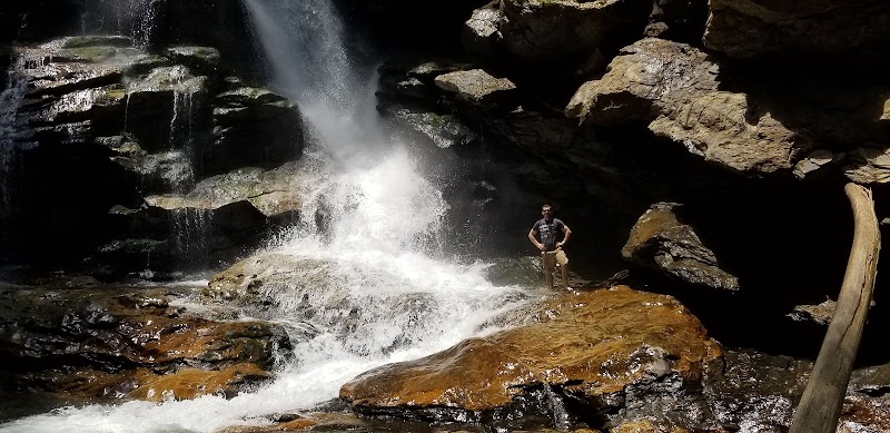 The Enchanting Cascade of Bradley Falls outdoor detail