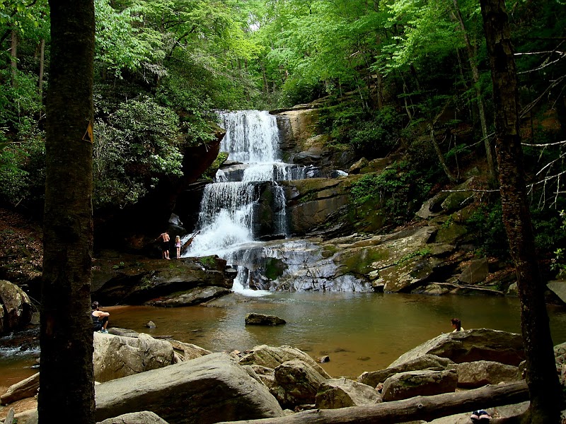 The Enchanting Cascade of Bradley Falls - Bradley Falls