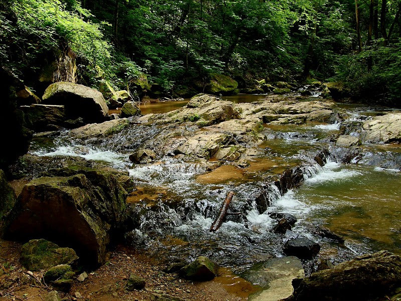 The Enchanting Cascade of Bradley Falls surrounding landscape