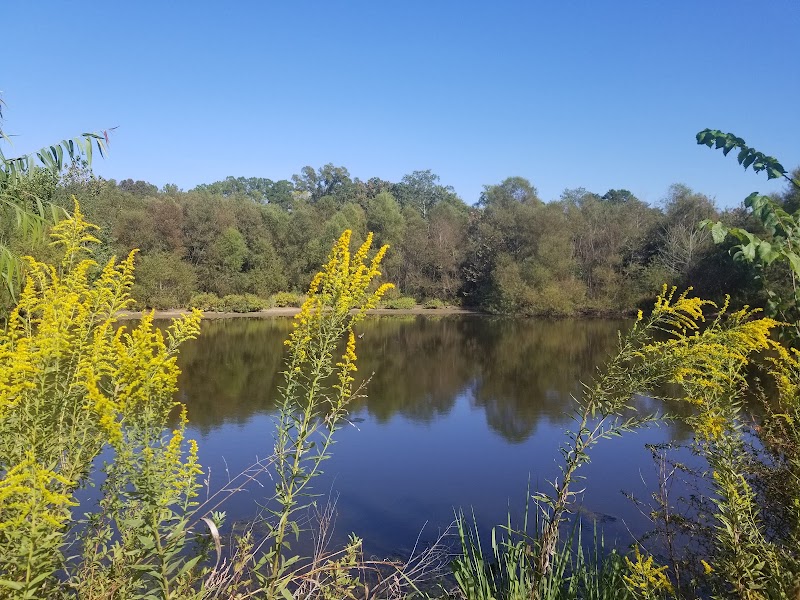 Discover the Piedmont Prairie Trail – McDowell Nature Preserve surrounding landscape